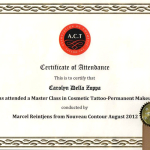 Certificate Master Class in Cosmetic Tattoo